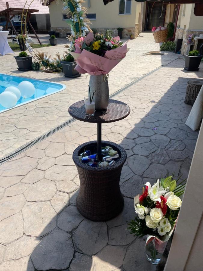 Gilău Casa Ryana Self Check-In 모텔 외부 사진
